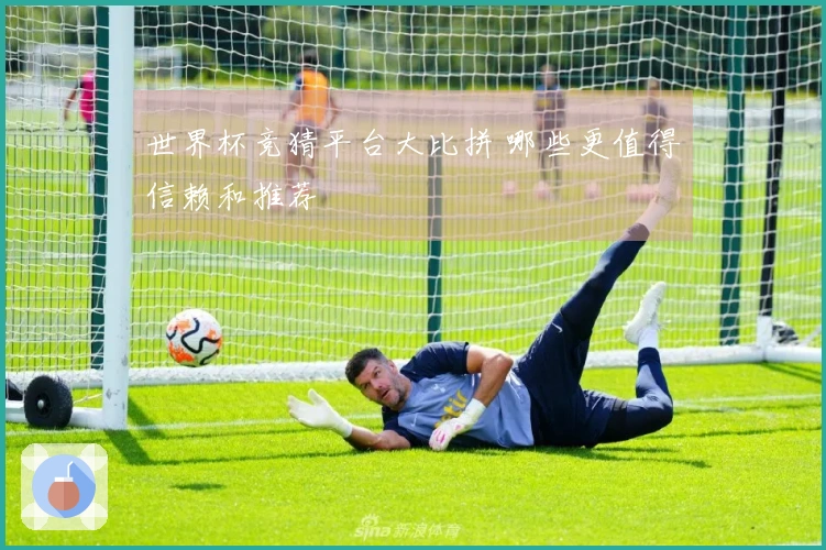 世界杯竞猜平台大比拼 哪些更值得信赖和推荐