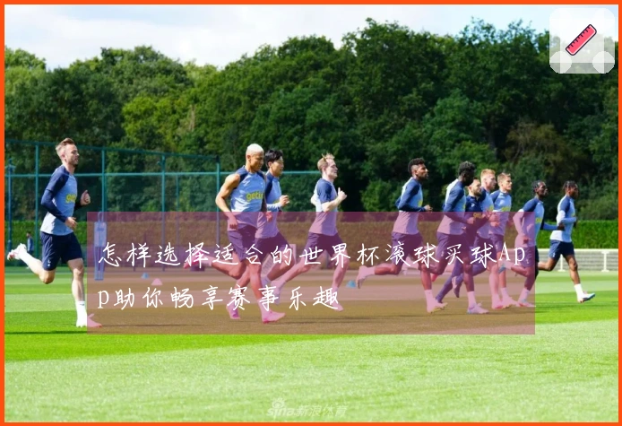 怎样选择适合的世界杯滚球买球App助你畅享赛事乐趣
