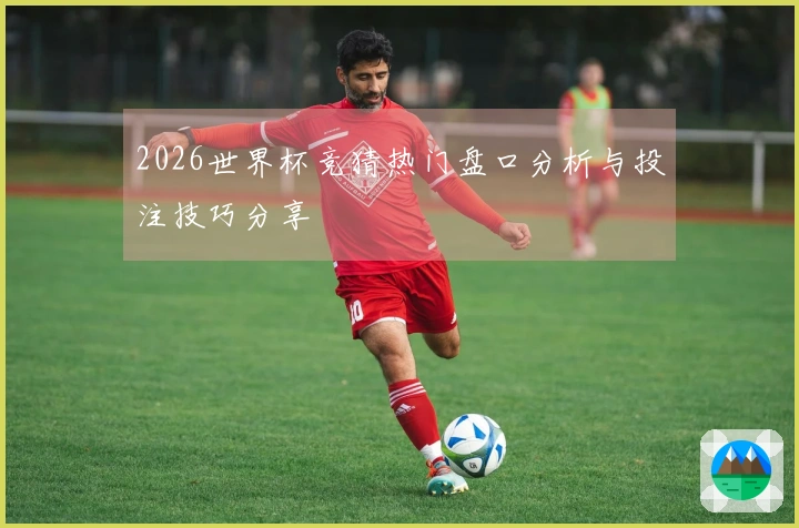2026世界杯竞猜热门盘口分析与投注技巧分享