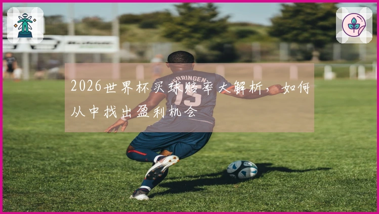 2026世界杯买球赔率大解析，如何从中找出盈利机会